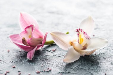 常州上门推拿